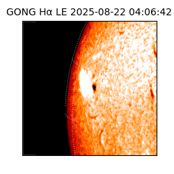 gong - 2025-08-22T04:06:42