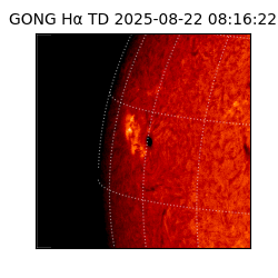 gong - 2025-08-22T08:16:22
