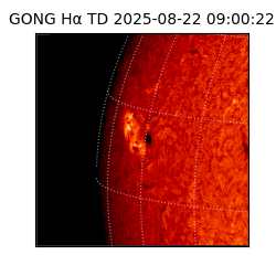 gong - 2025-08-22T09:00:22