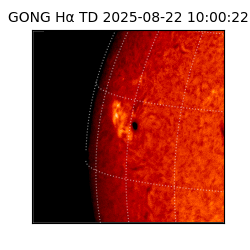 gong - 2025-08-22T10:00:22