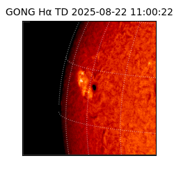 gong - 2025-08-22T11:00:22