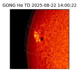 gong - 2025-08-22T14:00:22