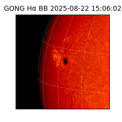 gong - 2025-08-22T15:06:02