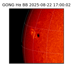 gong - 2025-08-22T17:00:02