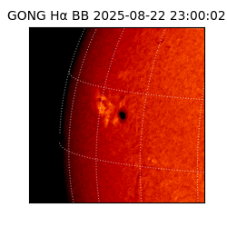 gong - 2025-08-22T23:00:02