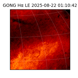 gong - 2025-08-22T01:10:42