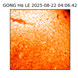 gong - 2025-08-22T04:06:42
