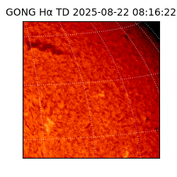 gong - 2025-08-22T08:16:22