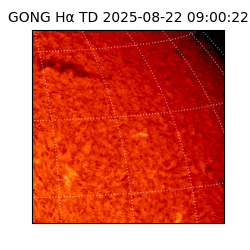 gong - 2025-08-22T09:00:22