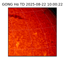 gong - 2025-08-22T10:00:22