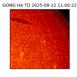 gong - 2025-08-22T11:00:22
