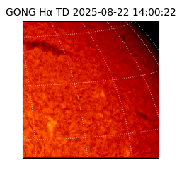 gong - 2025-08-22T14:00:22
