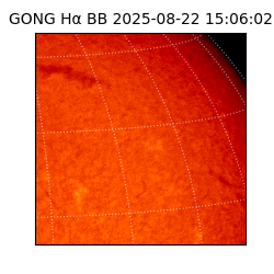 gong - 2025-08-22T15:06:02