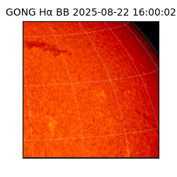 gong - 2025-08-22T16:00:02