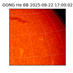 gong - 2025-08-22T17:00:02
