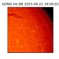 gong - 2025-08-22T18:00:02