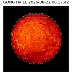 gong - 2025-08-22T00:17:42