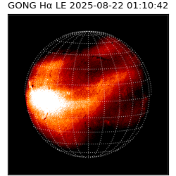 gong - 2025-08-22T01:10:42