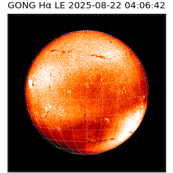 gong - 2025-08-22T04:06:42