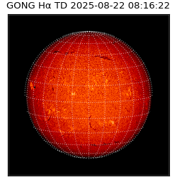 gong - 2025-08-22T08:16:22
