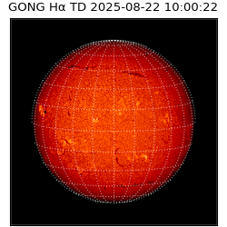 gong - 2025-08-22T10:00:22
