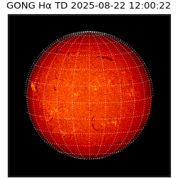 gong - 2025-08-22T12:00:22