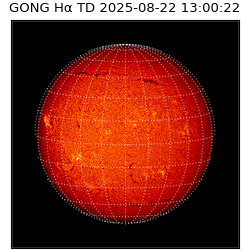gong - 2025-08-22T13:00:22
