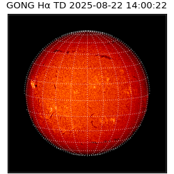 gong - 2025-08-22T14:00:22
