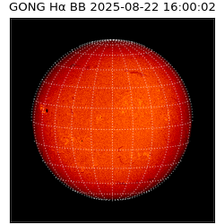 gong - 2025-08-22T16:00:02