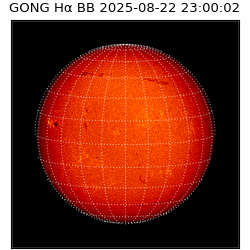 gong - 2025-08-22T23:00:02
