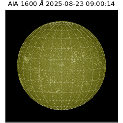 saia - 2025-08-23T09:00:14.117000