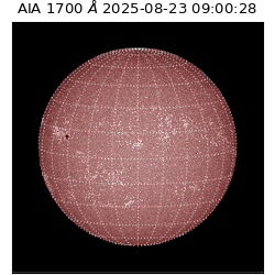 saia - 2025-08-23T09:00:28.709000