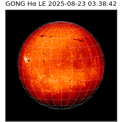 gong - 2025-08-23T03:38:42