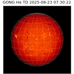gong - 2025-08-23T07:30:22
