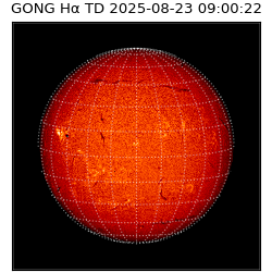 gong - 2025-08-23T09:00:22