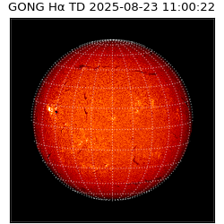 gong - 2025-08-23T11:00:22