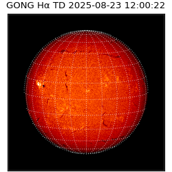 gong - 2025-08-23T12:00:22