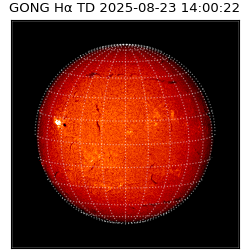 gong - 2025-08-23T14:00:22