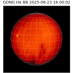 gong - 2025-08-23T16:00:02