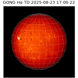 gong - 2025-08-23T17:00:22