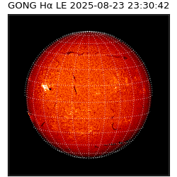 gong - 2025-08-23T23:30:42
