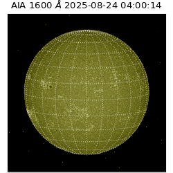 saia - 2025-08-24T04:00:14.125000