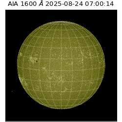 saia - 2025-08-24T07:00:14.130000