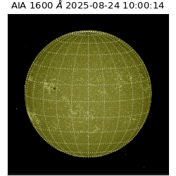 saia - 2025-08-24T10:00:14.126000