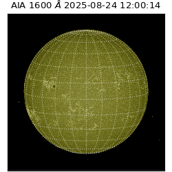 saia - 2025-08-24T12:00:14.126000