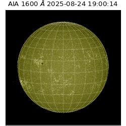 saia - 2025-08-24T19:00:14.125000