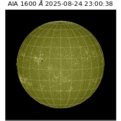 saia - 2025-08-24T23:00:38.126000