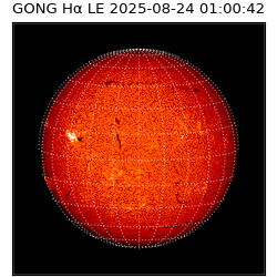 gong - 2025-08-24T01:00:42