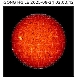 gong - 2025-08-24T02:03:42