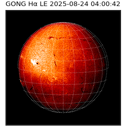 gong - 2025-08-24T04:00:42